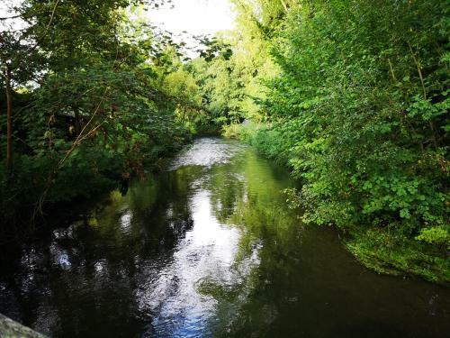 Kingfisher Lodge-huntersmoon -warminster-longleat-bath