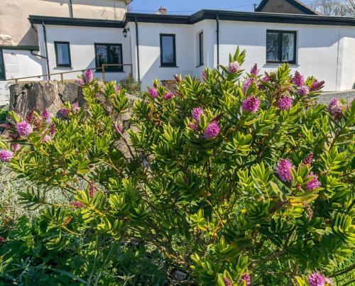 Apartamento Darracott Farm Cottage