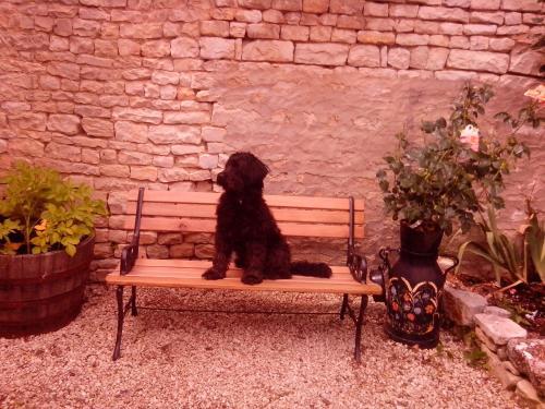 Bed And Breakfast Dunroamin