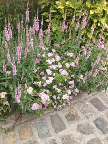 Bed & Breakfast Demeure Des Buis