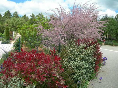 Hostal B&B Villa Les Tamaris