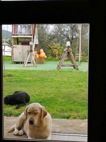 Agroturismo Agriturismo La Svolta