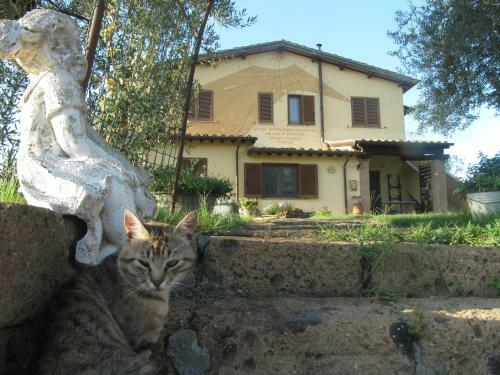 Agroturismo Agriturismo La Svolta