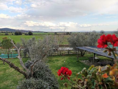 Agroturismo Agriturismo La Svolta