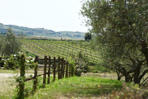 Agroturismo Agriturismo La Svolta