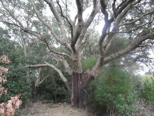 Agroturismo Agriturismo Il Quarto