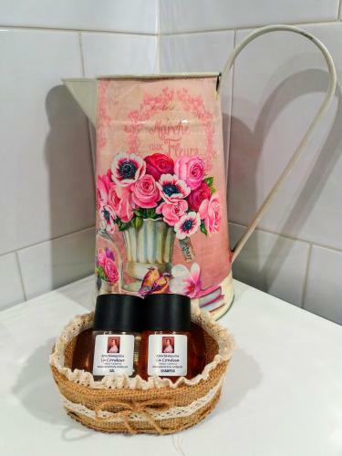 Apartamentos La Condesa