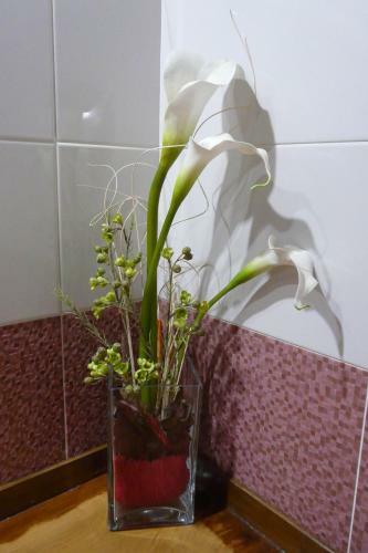 Apartamentos La Condesa