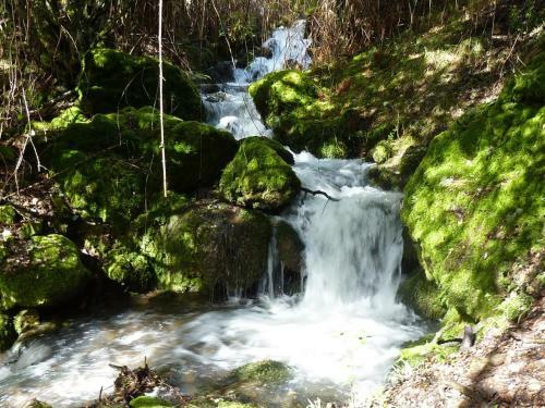 Apartamentos La Condesa