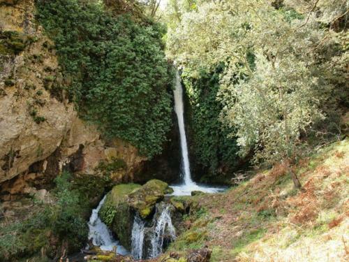 Apartamentos La Condesa