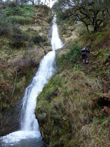 Apartamentos La Condesa