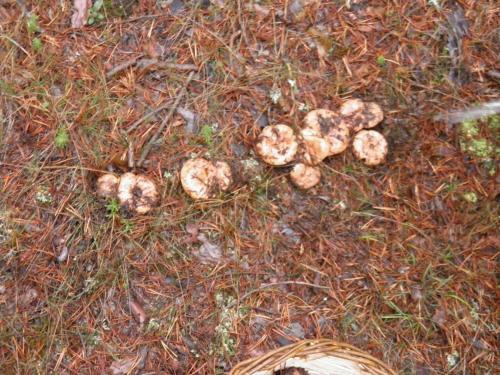 Hotel Torres De Albarracin