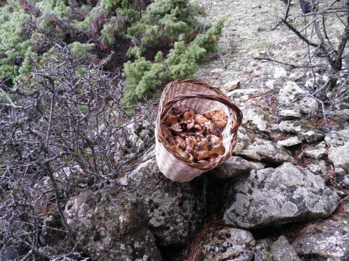 Hotel Torres De Albarracin