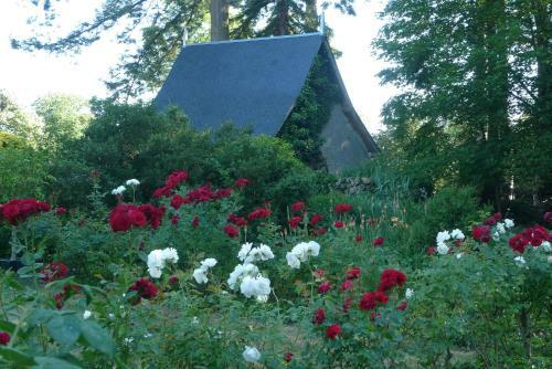 Bed & Breakfast Ch�teau De L'h�rissaudi�re