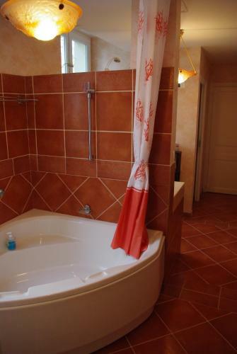 Bed & Breakfast Ch�teau De L'h�rissaudi�re