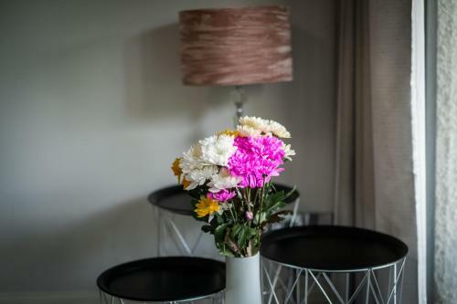 Bellman Apartment - Pet Friendly With Parking
