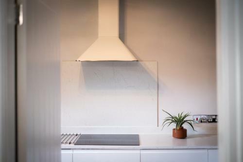 Bellman Apartment - Pet Friendly With Parking