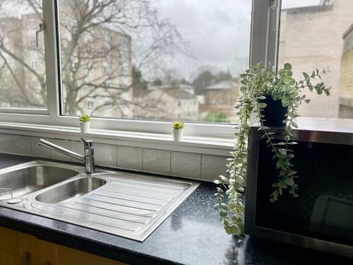 Entire Central Windsor Apartment With Free Parking!