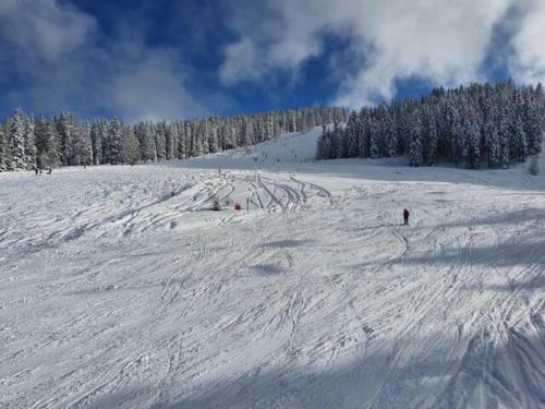 Apartamento Ferienapartment Kanzelh�he An Der Skipiste