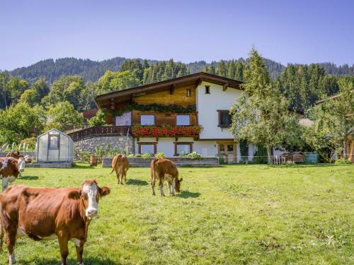 Apartamento Appartement Salvenblick