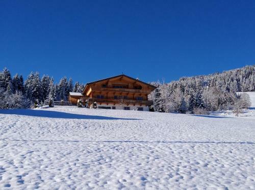 Chalet Apartment Obermanzl