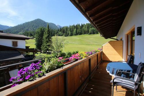 Haus Enzian Apartments