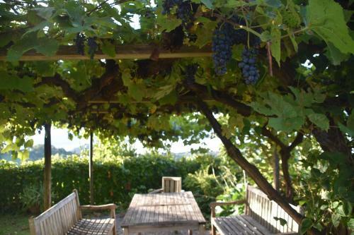 Bed & Breakfast G�stehaus-temmel-kitzeck