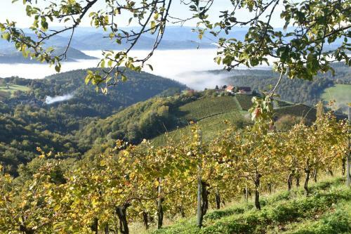 Bed & Breakfast G�stehaus-temmel-kitzeck