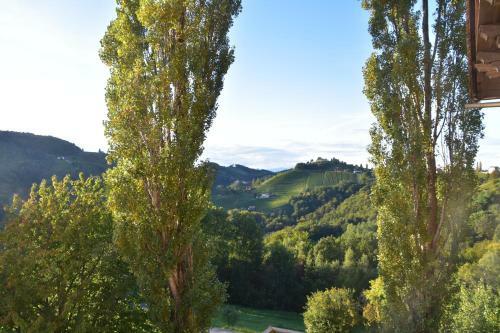 Bed & Breakfast G�stehaus-temmel-kitzeck