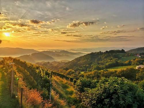 Bed & Breakfast Weingut Albert, Familie Cramer