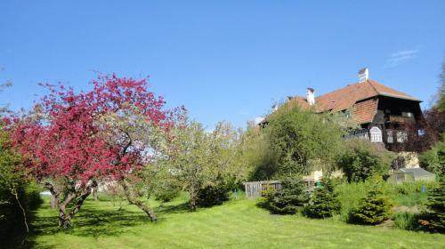 Bed & Breakfast Zeilinger Villa