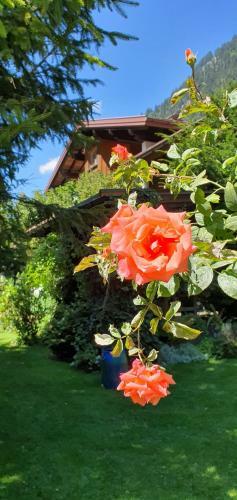Apartamento Appartements Burtscher