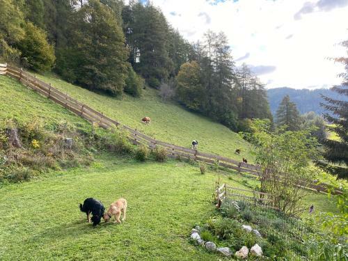 Apartamento Bei Annelie