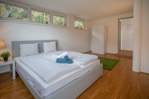 Innsbruck City Mountain View Apartment