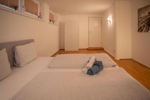 Innsbruck City Mountain View Apartment