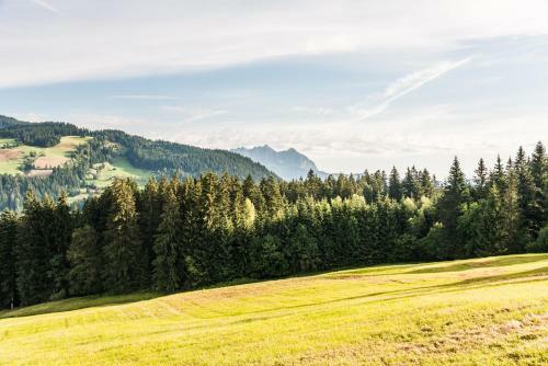 Apartamento Berggasthof Staudachstub'n