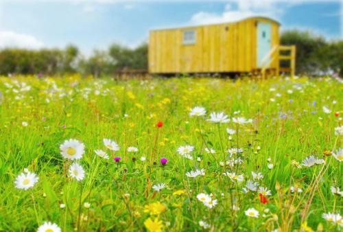 Honeysuckle Farm Holidays By Air Manage Suffolk