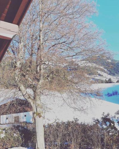 Apartamento Hof Oberhaus