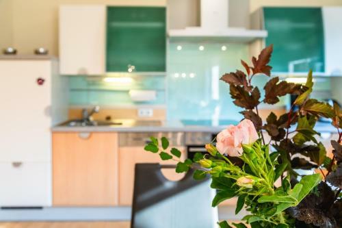 Apartamento Herzst�ckl In Den Nockbergen