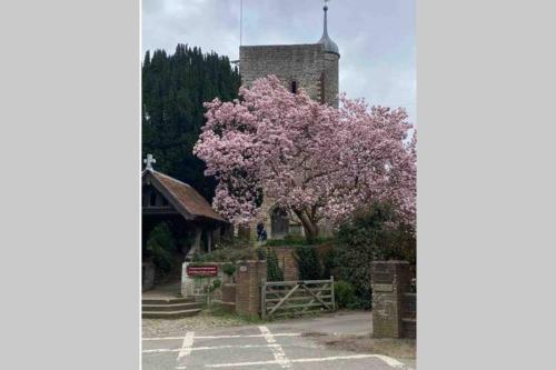 Apartamento Quirky Riverside Flat (1 Bed) With Sunny Garden