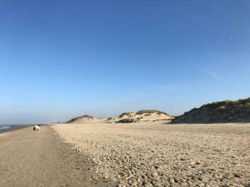Apartamento Koksijde Zeedijk Res Manh