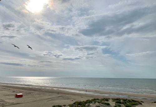 Apartamento Koksijde Zeedijk Res Manh