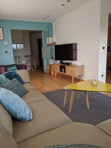 Villa Omaar Ruime Villa Aan Rand Van De Duinen