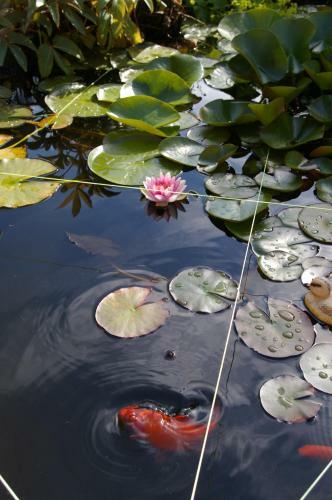 Bed & Breakfast Villa Monique