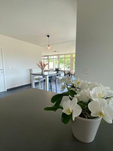 Vakantiewoning Maison Remi - 12pers