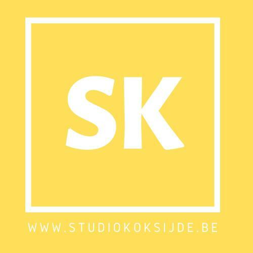 Apartamento Studio Koksijde