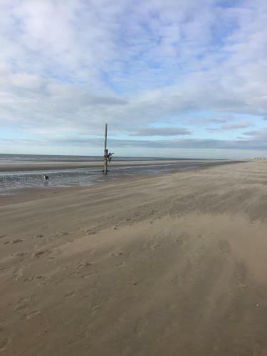 Apartamento Prinses Elisabeth