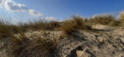 Apartamento Koksijde Promenade