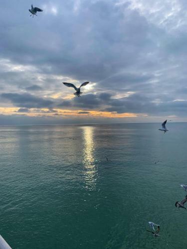 Beautiful 2bd Coastal Hideaway Central Worthing