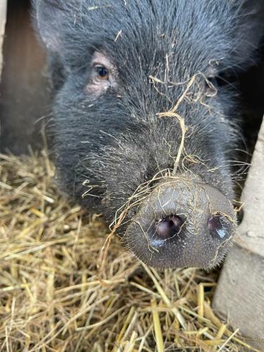 Cwtch Farm Bed & Breakfast